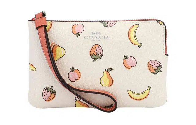 COACH Corner Zip 16