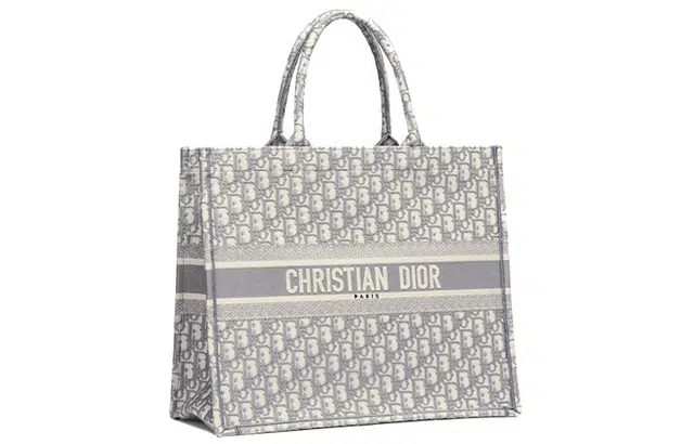 DIOR BookTote Oblique Tote