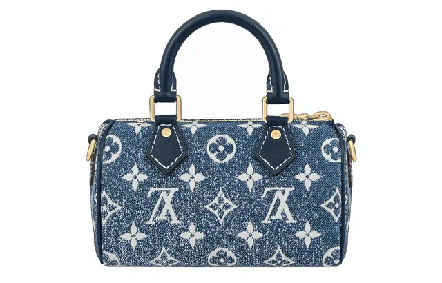 LOUIS VUITTON Speedy Nano