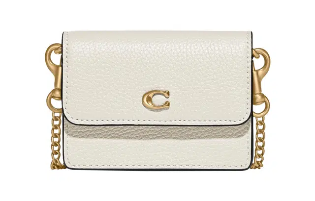 COACH Flap 1Card Case0 C
