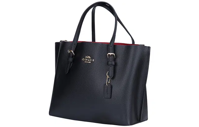COACH Mollie 25 Tote
