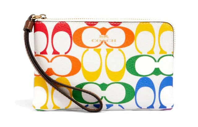 COACH Corner Zip 16