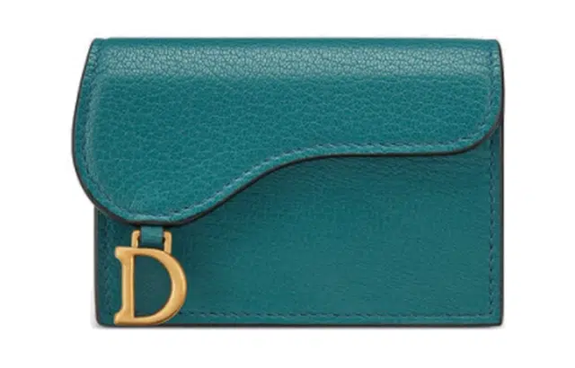 DIOR Saddle