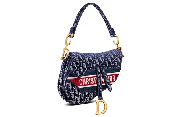 DIOR Saddle Oblique