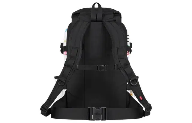 Supreme x The North Face Week 9Steep TechLogo