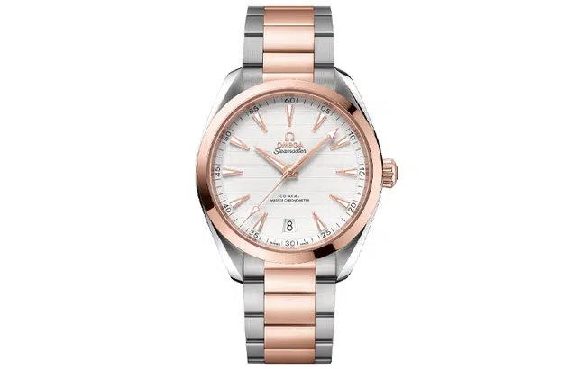 OMEGA 41mm 220.20.41.21.02.001