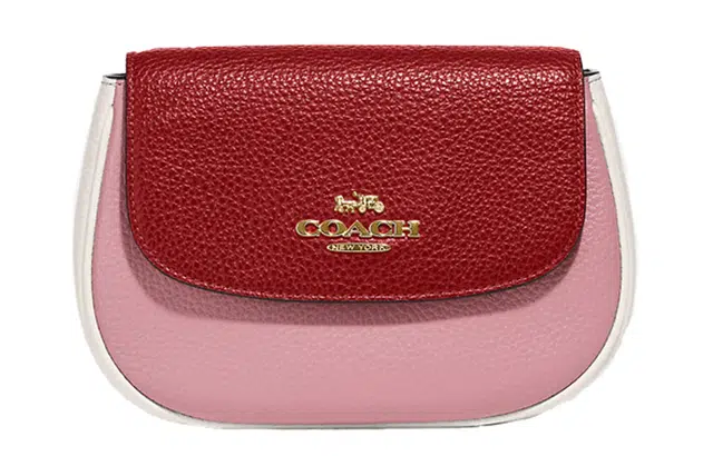 COACH Saddle 19