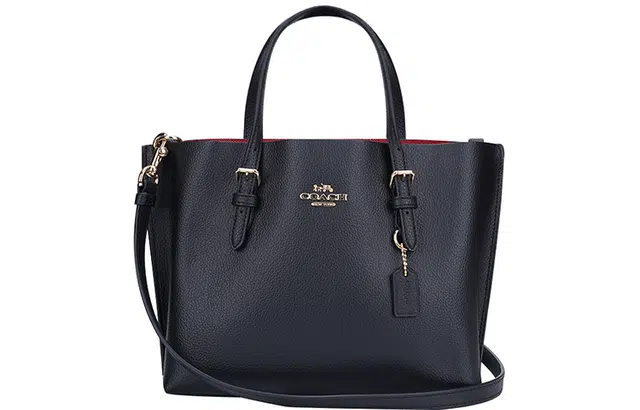 COACH Mollie 25 Tote
