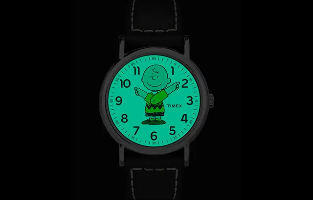 TIMEX 30 TW2T60900