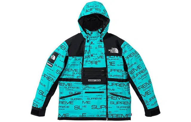 Supreme x the north face logo