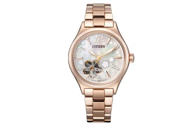 CITIZEN 34mm PC1018-69D