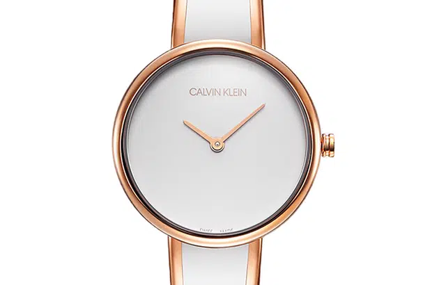 CKCalvin KleinCK K4E2N616