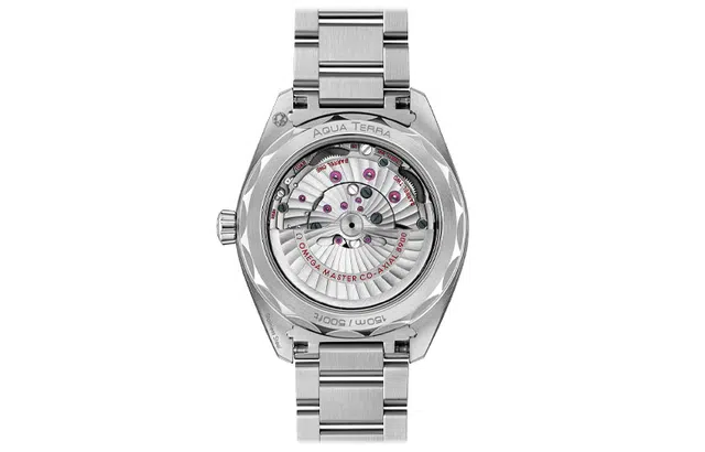 OMEGA 41mm 220.10.41.21.10.001