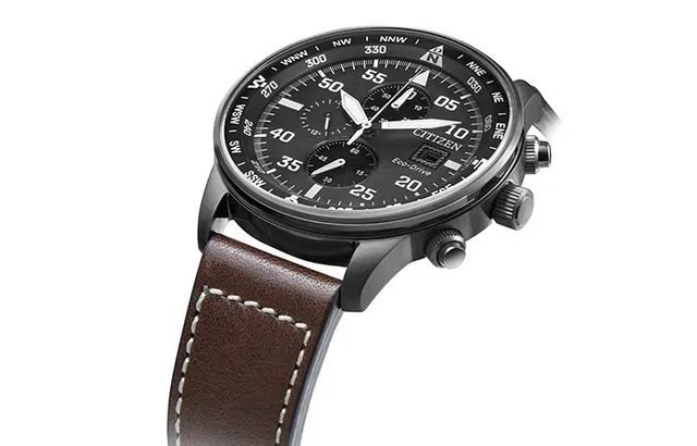 CITIZEN BIP CA0695-17E
