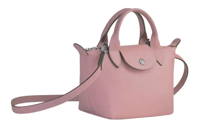 LONGCHAMP Le Pliage Cuir 17