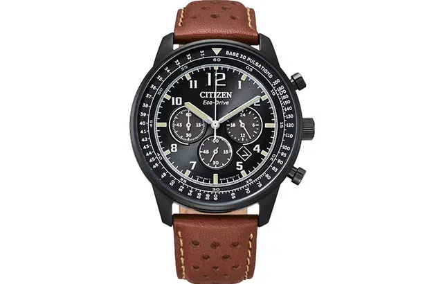 CITIZEN BIP CA4505-12E