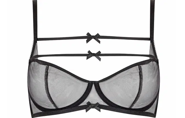 Agent Provocateur