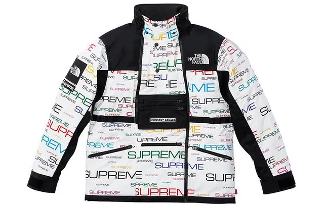 Supreme x the north face logo