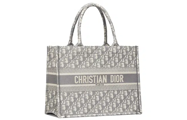 DIOR BookTote Oblique Tote