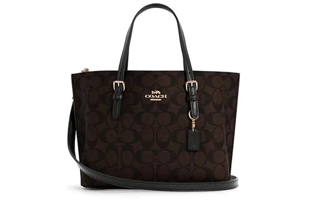 COACH Mollie 25 Tote