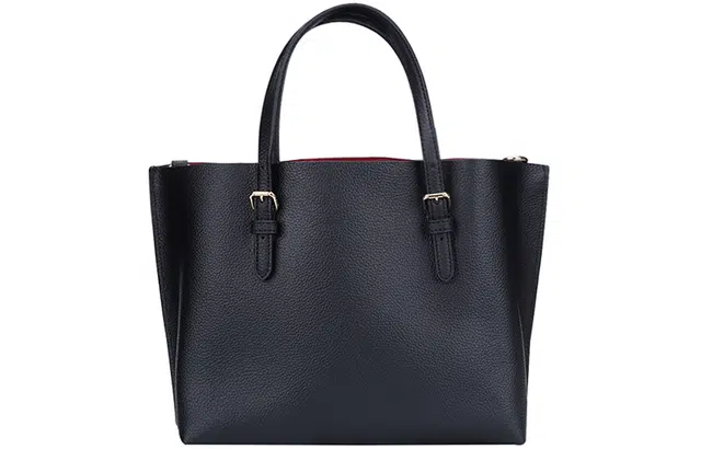 COACH Mollie 25 Tote