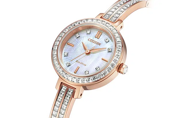 CITIZEN EM0863-53D