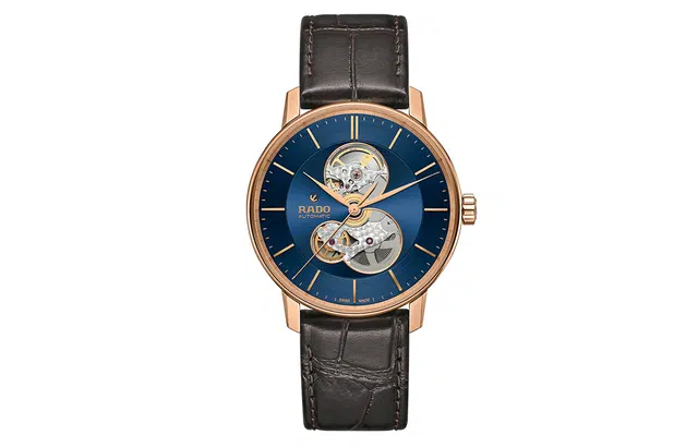 Rado R22895215