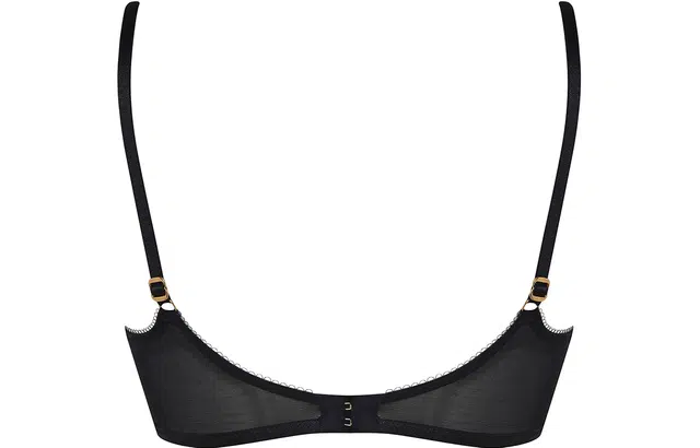 Agent Provocateur