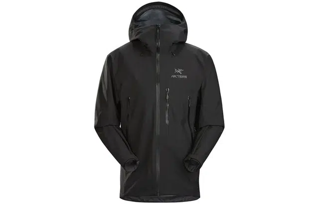 Arcteryx Beta Sv Logo