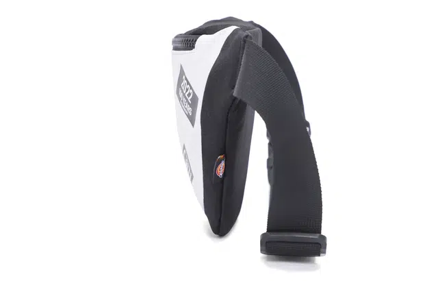 Dickies 100