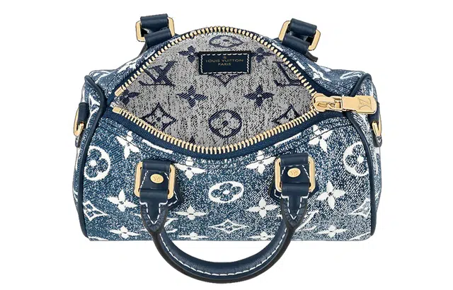 LOUIS VUITTON Speedy Nano