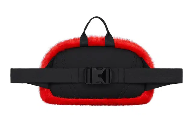 Supreme x The North Face FW20 Sling Bag