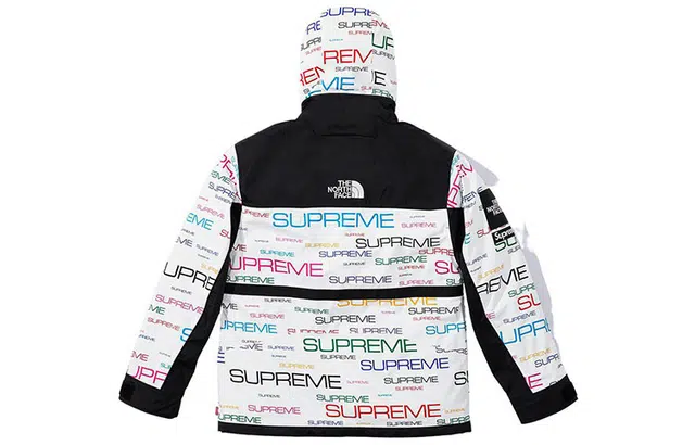 Supreme x the north face logo