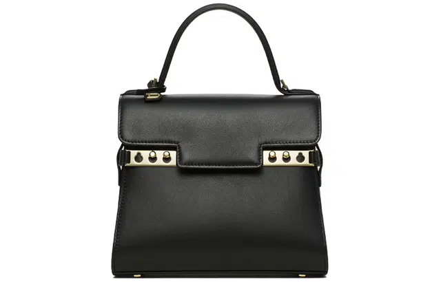 Delvaux Tempte