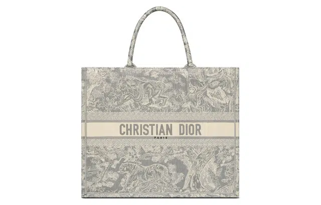 DIOR BookTote Tote