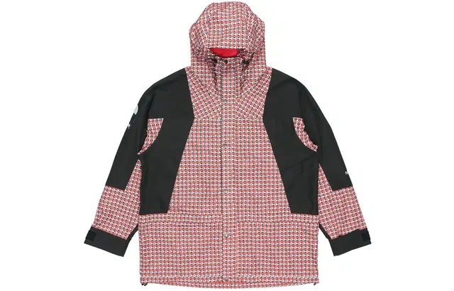 Supreme x THE NORTH FACE SS21