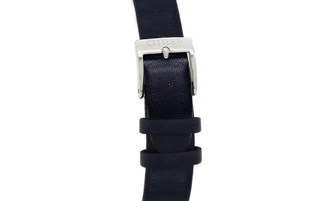 CITIZEN 50 EM0527-18A