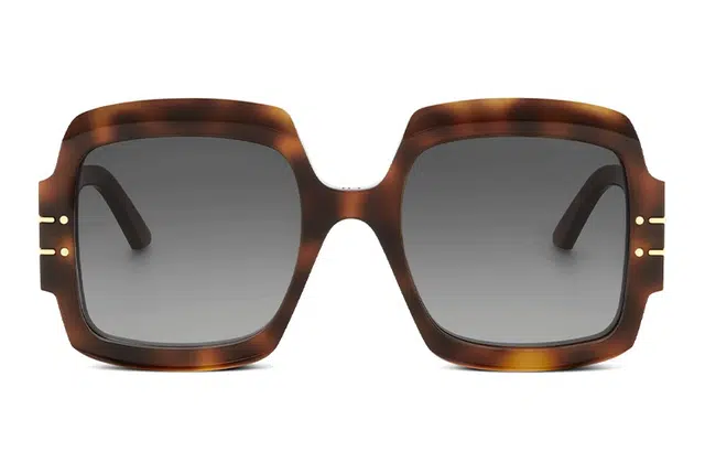DIOR SIGNATURE S1U