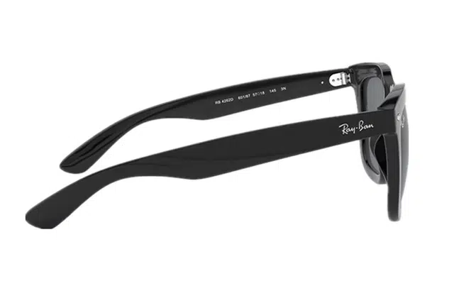 RayBan