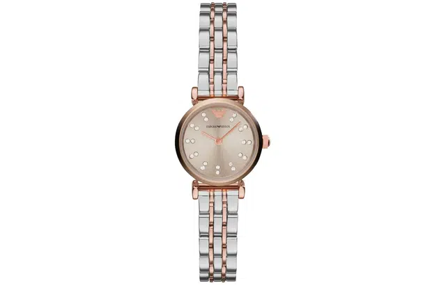 EMPORIO ARMANI 22mm AR1841