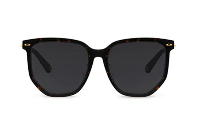 Mengsmengs Wayfarer
