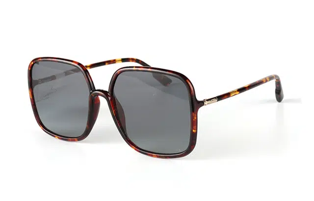 Dior Sostellaire1