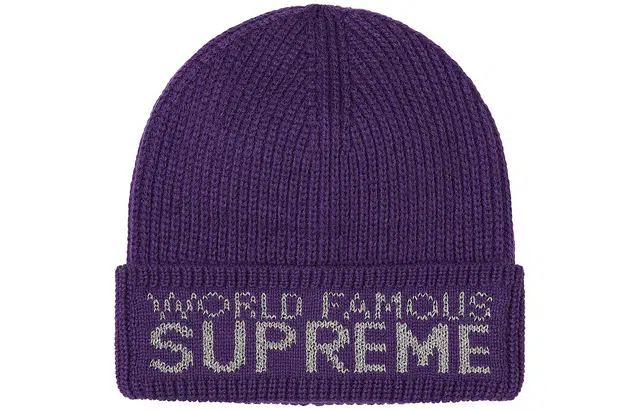 Supreme Supreme FW20 World Famous Beanie