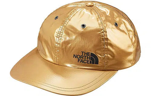 Supreme x The North Face Metallic 6-Panel