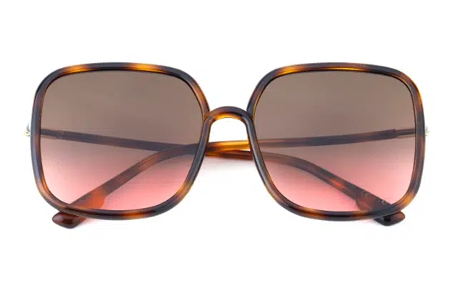 Dior Sostellaire1