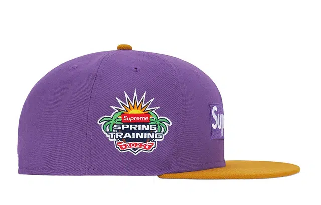 Supreme x New Era 2-Tone Box Logo Cap