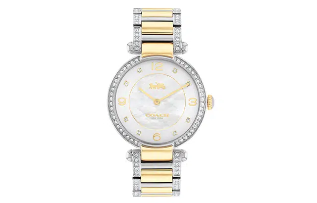 COACHCARY 34mm 30 14503833