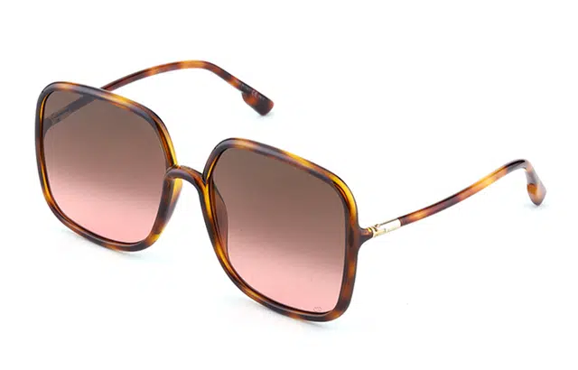 Dior Sostellaire1