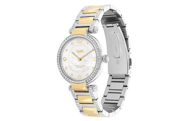 COACHCARY 34mm 30 14503833