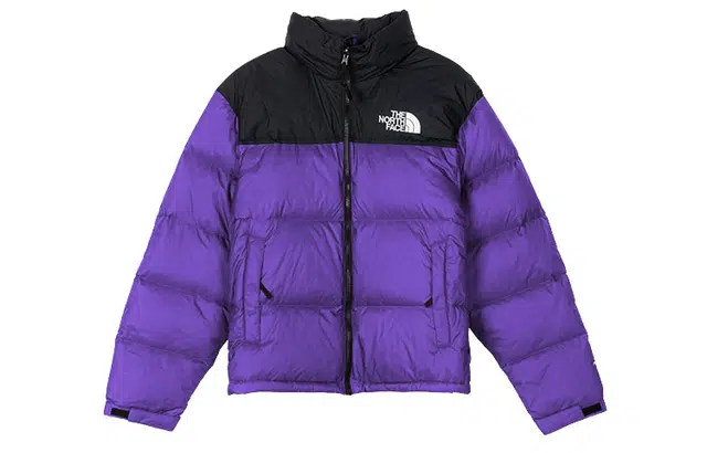 THE NORTH FACE 1996 Retro Nuptse 700